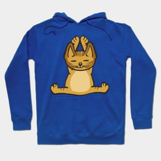 Cat In Different Yoga Poses Hoodie